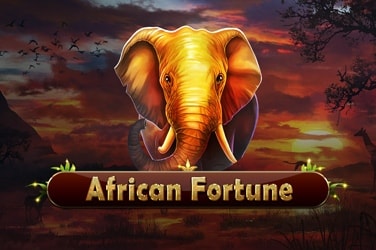 African Fortune